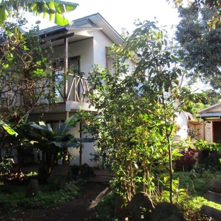Hostal Marari Hanga Roa Exterior photo